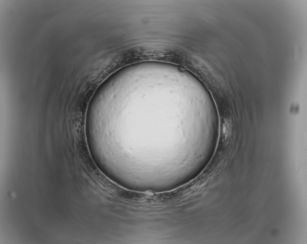 X0000097300867200802291811