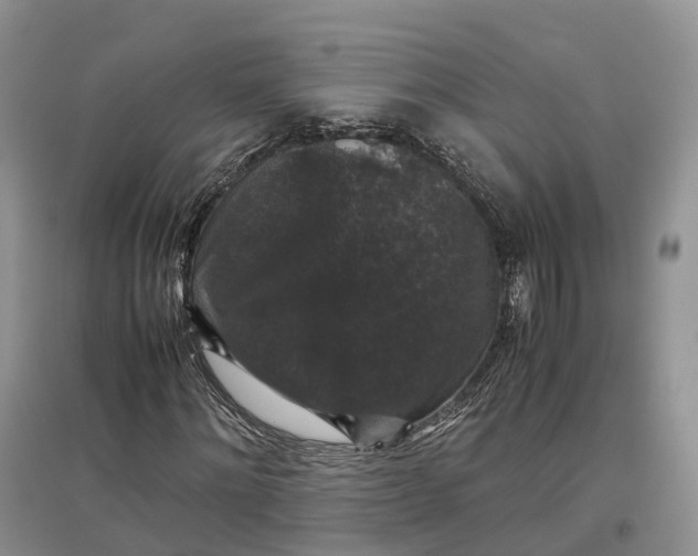 X0000097300868200802291811