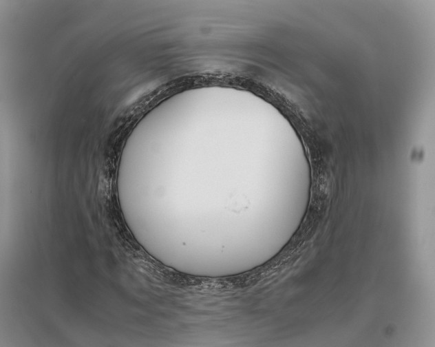 X0000097300869200802291811