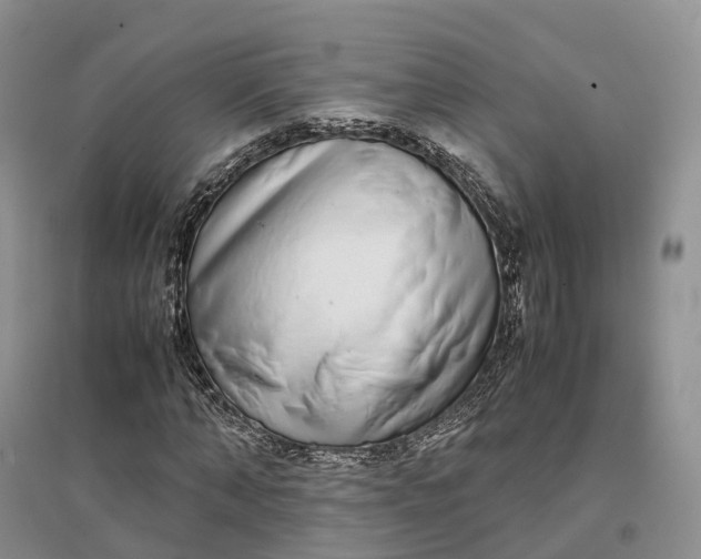 X0000097300870200802291811