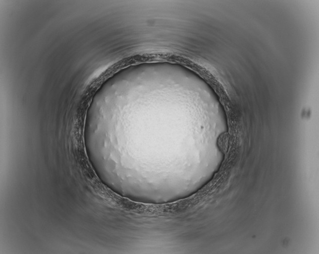 X0000097300871200802291811