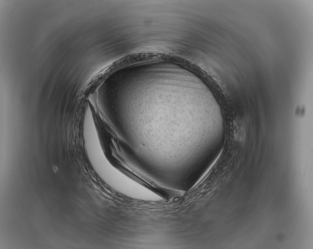 X0000097300872200802291811