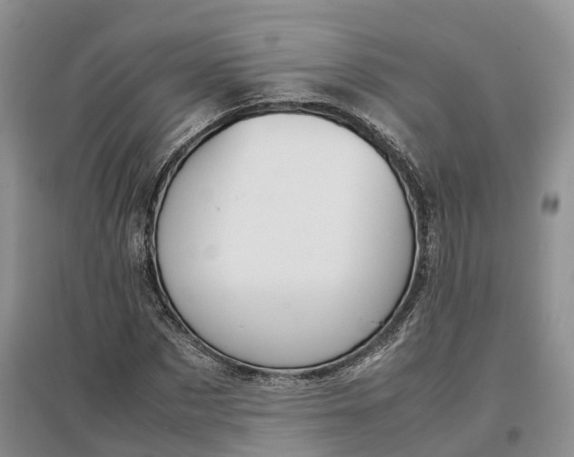 X0000097300873200802291811