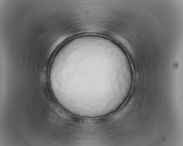 X0000097300875200802291811