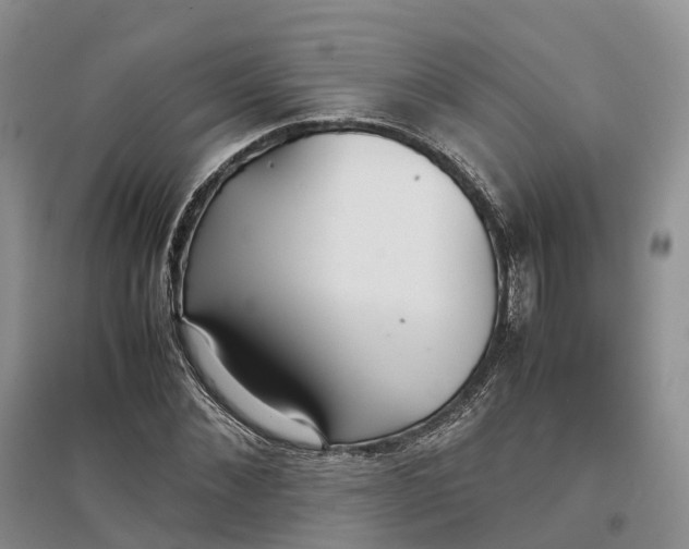 X0000097300876200802291811