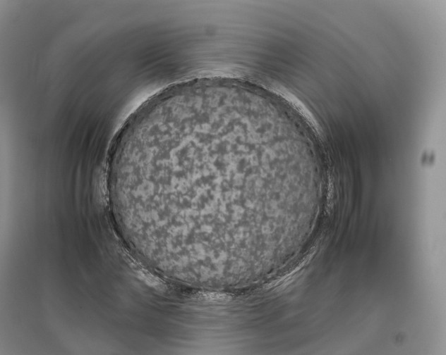 X0000097300878200802291811