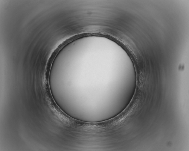 X0000097300880200802291811