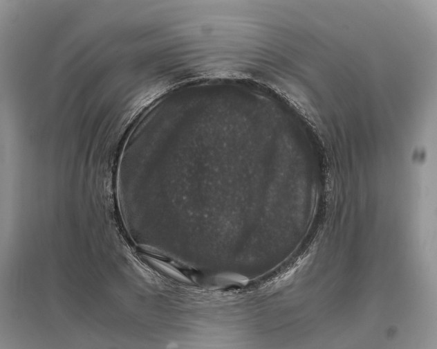 X0000097300881200802291811