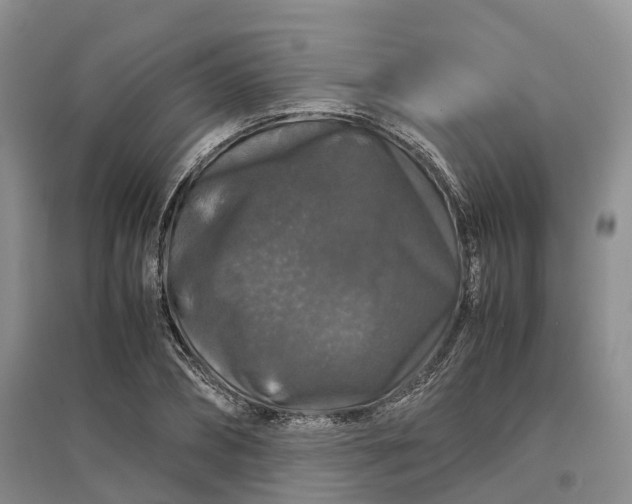 X0000097300882200802291811