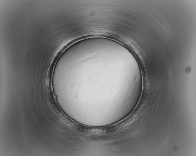 X0000097300883200802291811