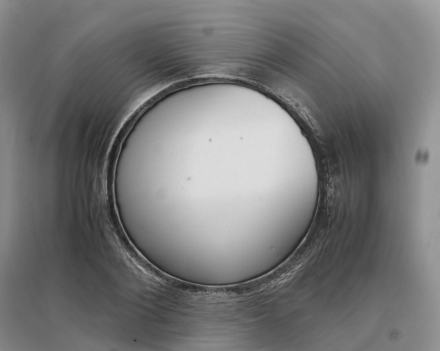 X0000097300884200802291811