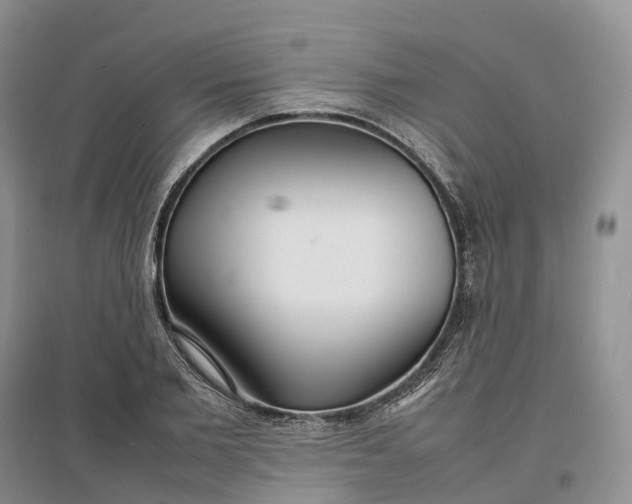 X0000097300885200802291811