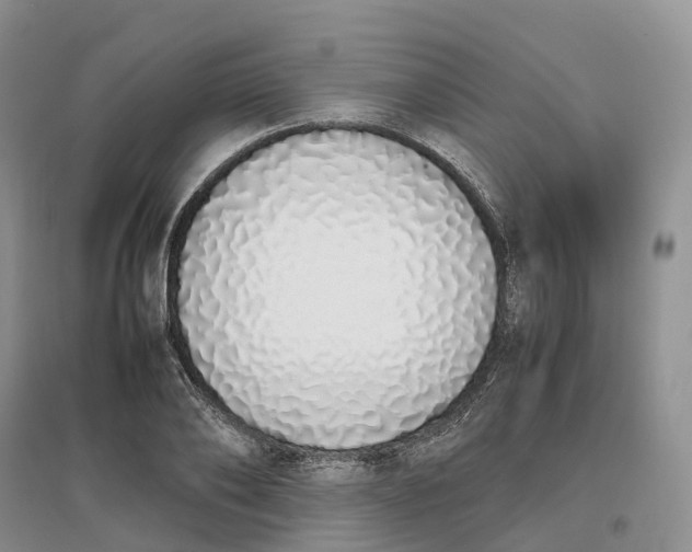 X0000097300886200802291811