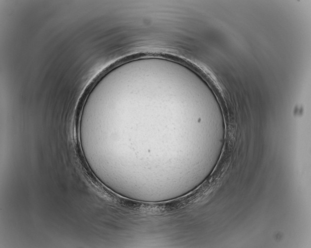 X0000097300887200802291811