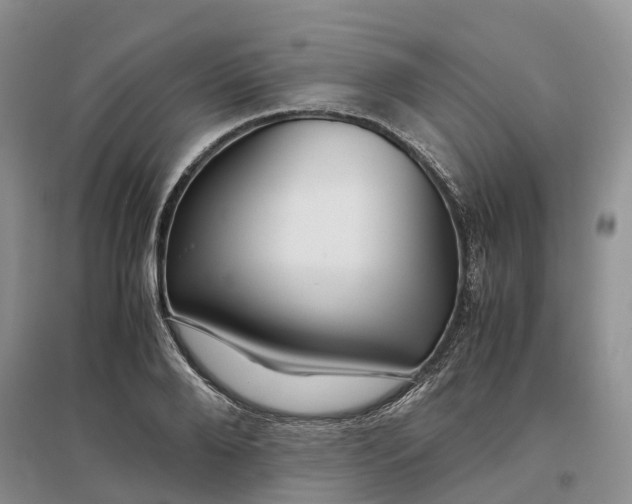 X0000097300888200802291811