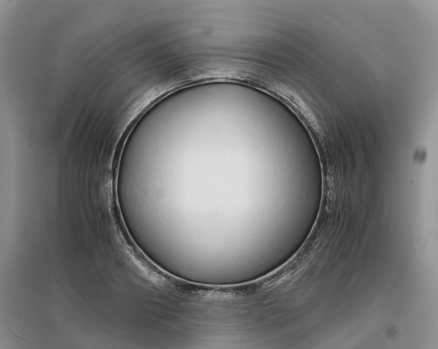 X0000097300890200802291811