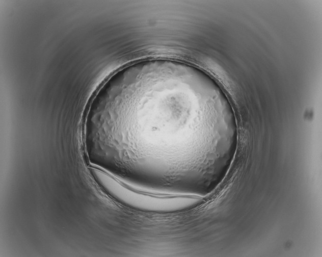 X0000097300891200802291811