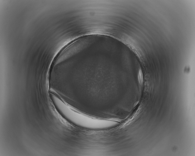 X0000097300892200802291811