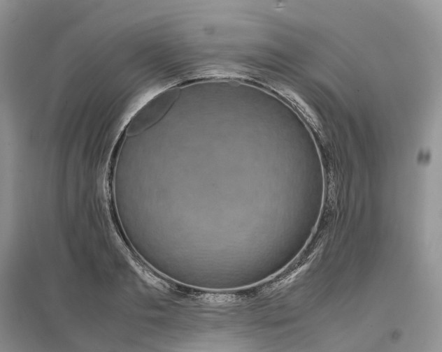 X0000097300893200802291811