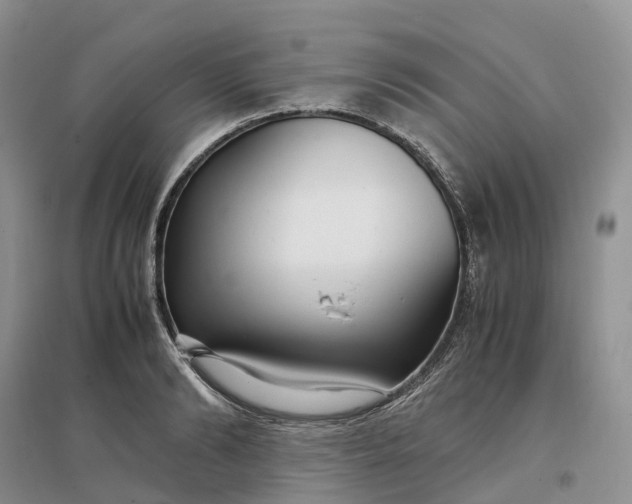 X0000097300894200802291811