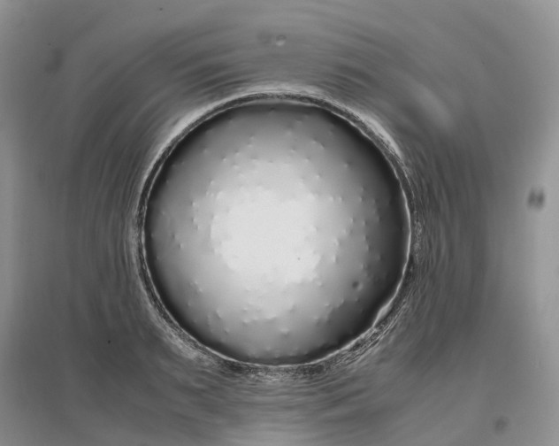 X0000097300895200802291811