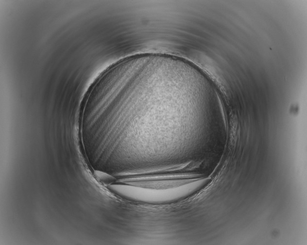 X0000097300896200802291811