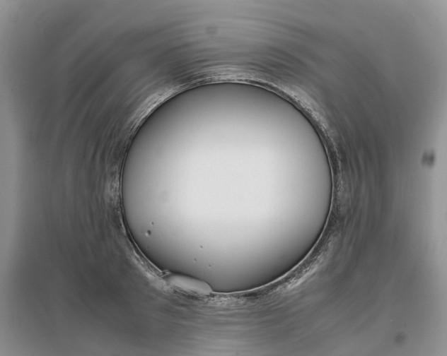 X0000097300897200802291811