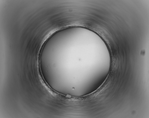 X0000097300898200802291811