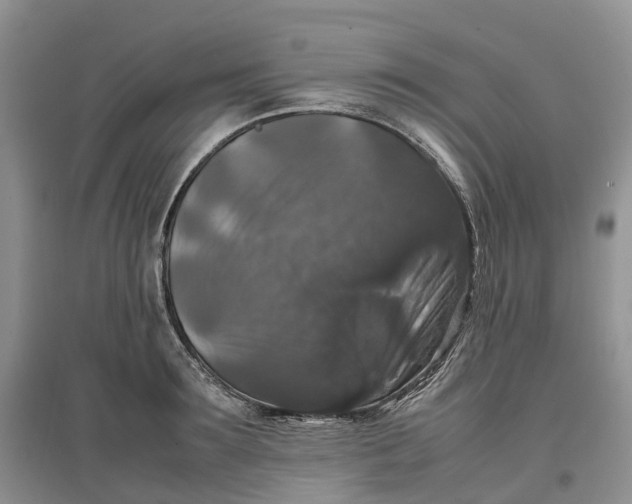 X0000097300899200802291811