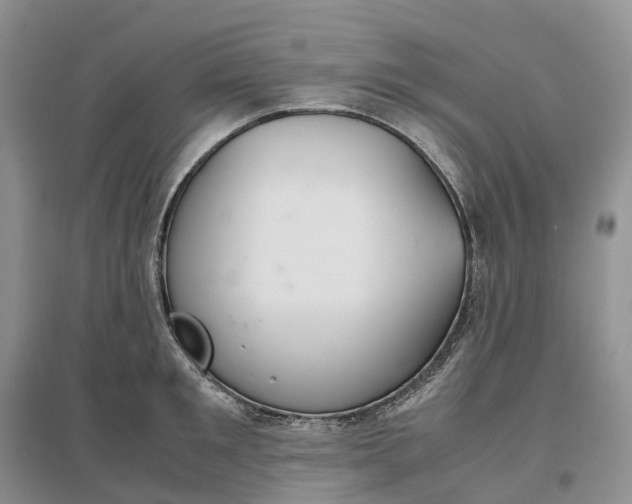 X0000097300901200802291811