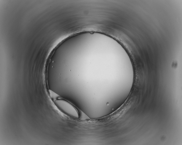 X0000097300902200802291811