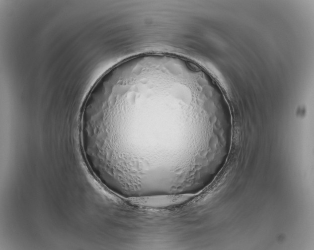 X0000097300903200802291811