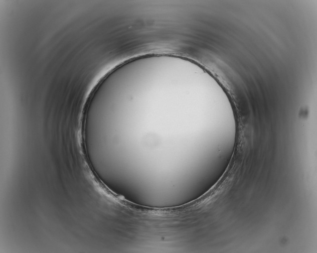 X0000097300904200802291811