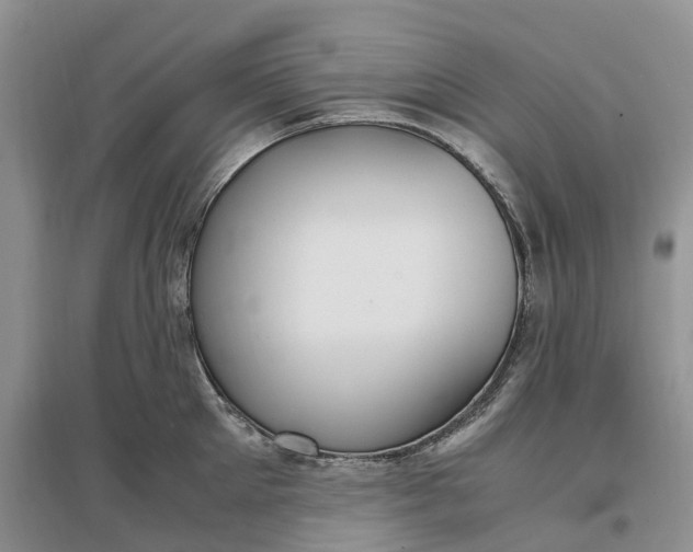 X0000097300905200802291811