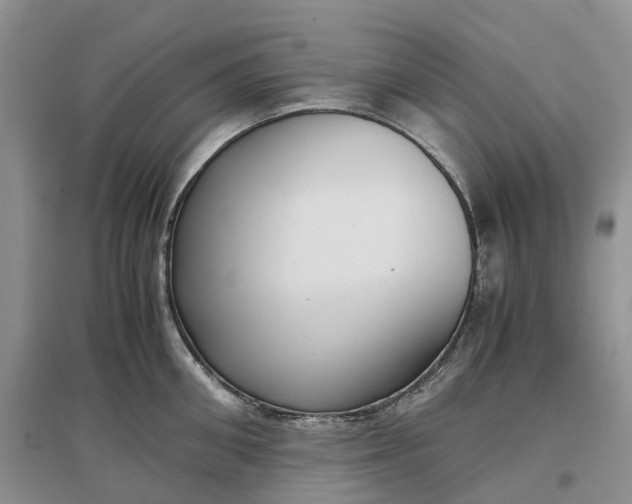 X0000097300906200802291811