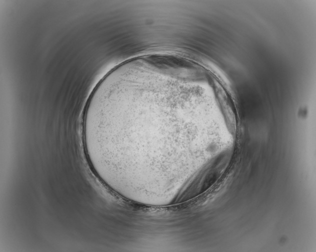 X0000097300907200802291811