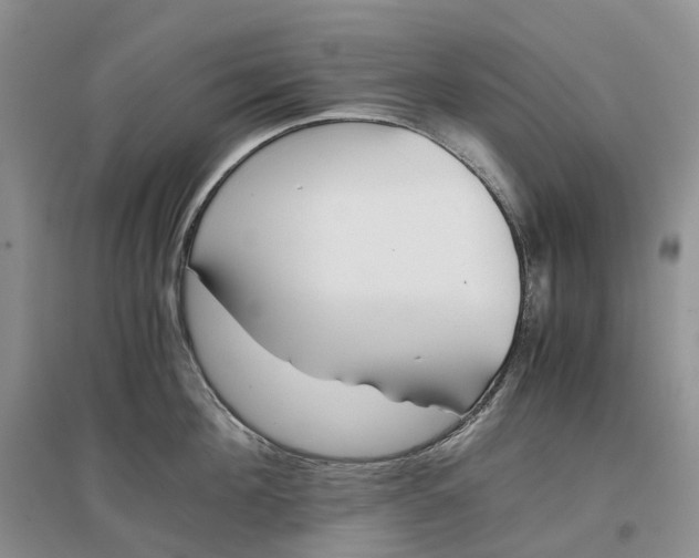 X0000097300908200802291811