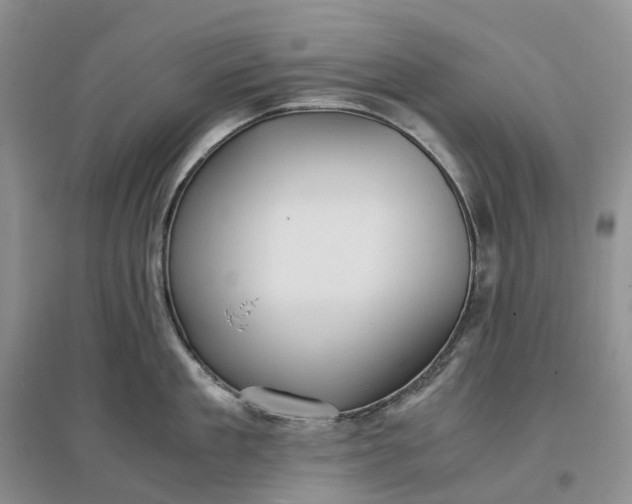 X0000097300909200802291811