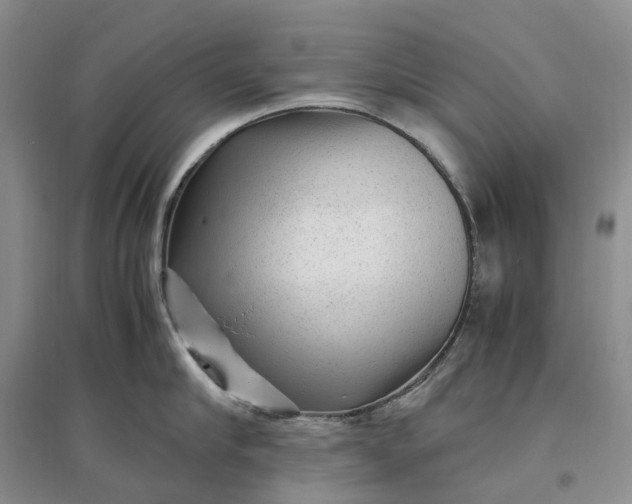 X0000097300910200802291811