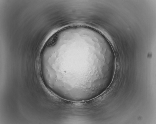 X0000097300911200802291811