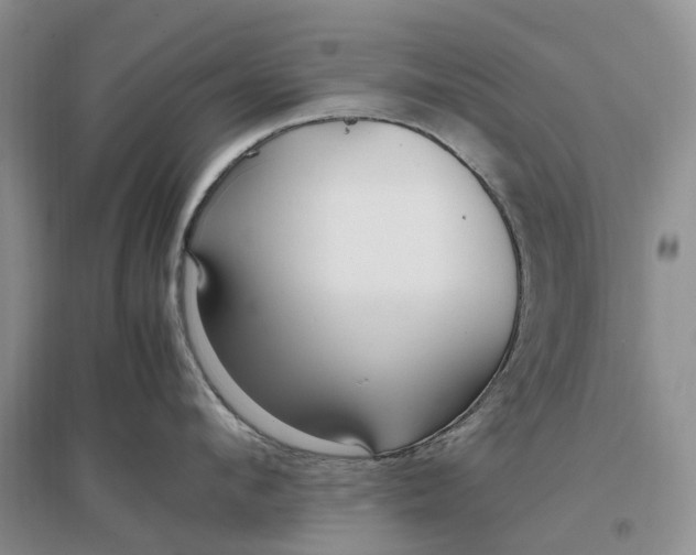 X0000097300912200802291811