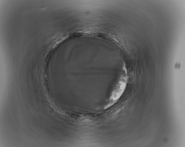 X0000097300913200802291810