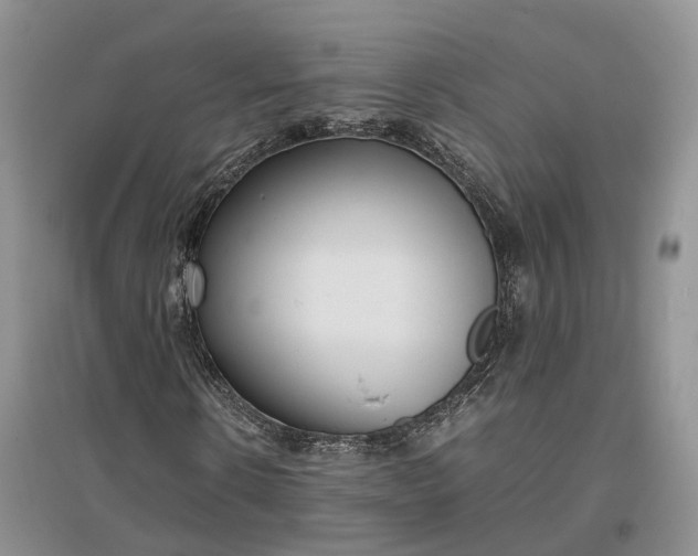 X0000097300914200802291810