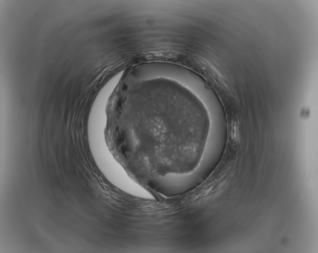 X0000097300915200802291810