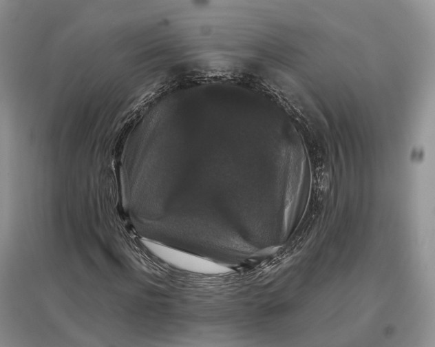 X0000097300916200802291810