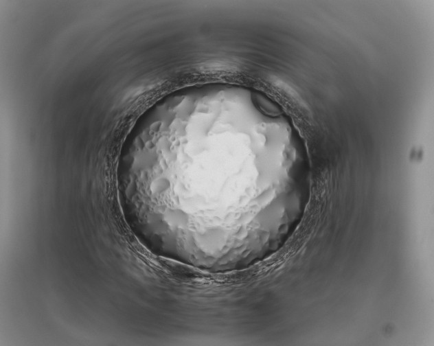 X0000097300917200802291810