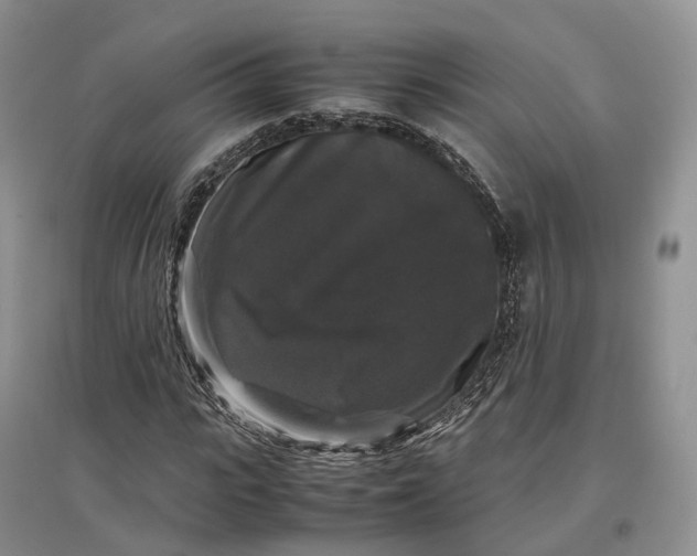 X0000097300919200802291810