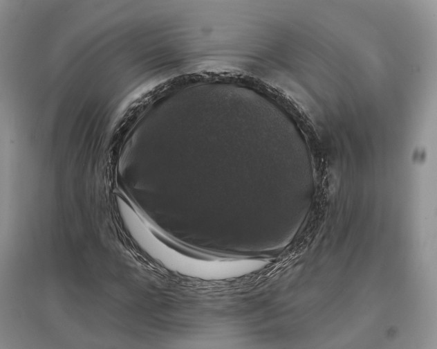 X0000097300920200802291810