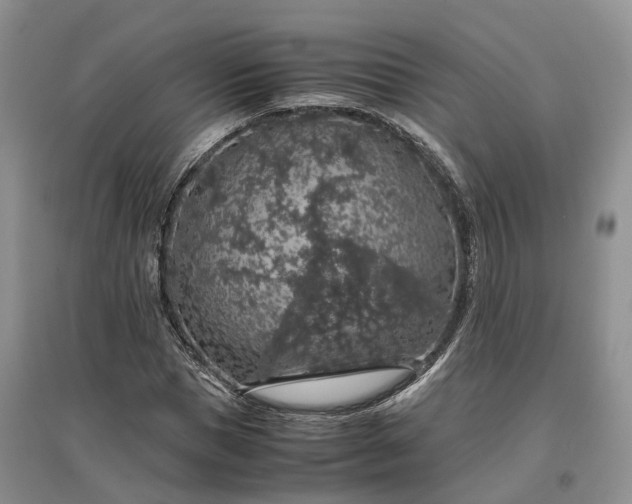 X0000097300921200802291810