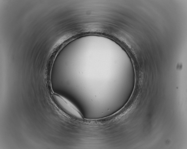 X0000097300922200802291810